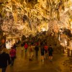 Führung durch die Höhle von Postojna - Slovenien - Istrien