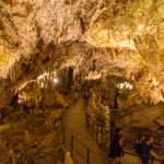 Blick in der Höhle von Postojna - Slovenien - Istrien