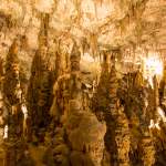 Tropfsteingebilde in der Höhle von Postojna - Slovenien - Istrien