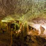 Faden-Tropfsteine in der Höhle von Postojna - Slovenien - Istrien