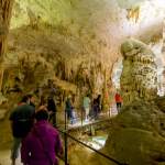 Helle Tropfsteine in der Höhle von Postojna - Slovenien - Istrien