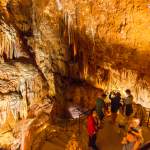 Führung durch die Jama-Grotta Baredine